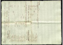 Estados de los deudores de las cajas de La Guaira a 31 de marzo de 1788