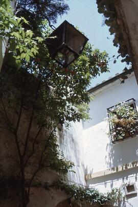 Luces de Andalucía 16. Calle.