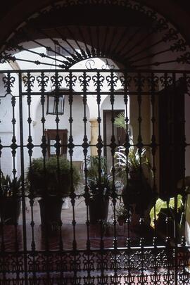 Luces de Andalucía 17. Patio cordobés.