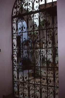 Luces de Andalucía 21. Puerta con motivos vegetales.