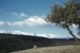Luces de Andalucía 42. Sierra Nevada.