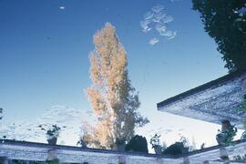 Luces de Andalucía 53. Reflejo del agua.