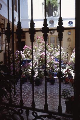 Luces de Andalucía 08. Patio con flores.