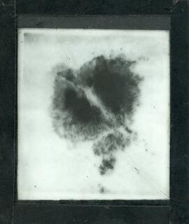 Nebulosa