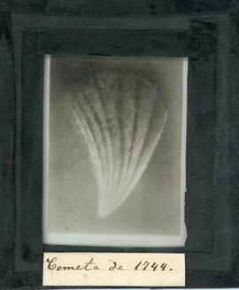 Estela de cometa