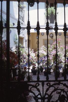Luces de Andalucía 13. Patio con flores.