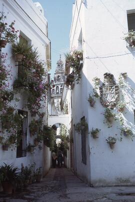 Luces de Andalucía 33. Calleja de las flores.